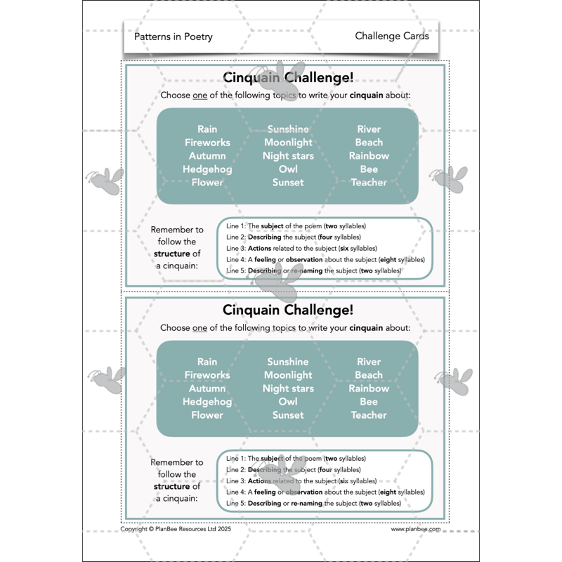 PlanBee Year 3 Patterns in Poetry | Investigating Types of Poems