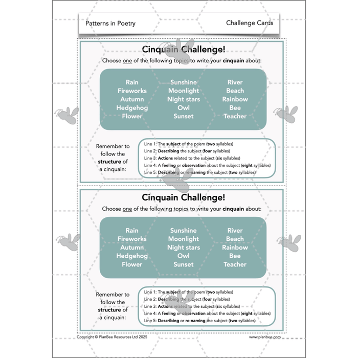 PlanBee Year 3 Patterns in Poetry | Investigating Types of Poems
