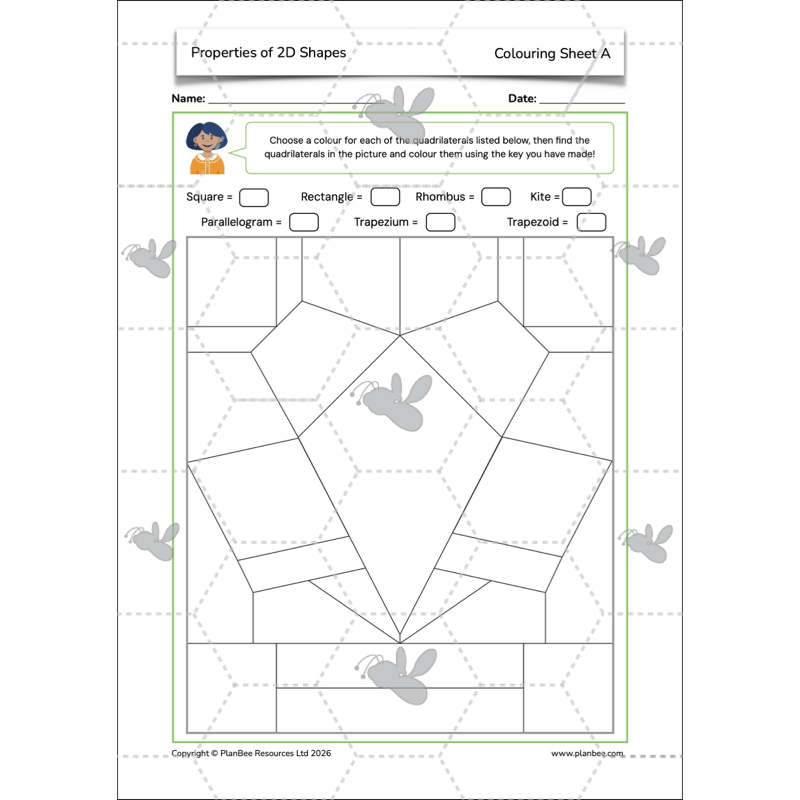 PlanBee Year 4 Properties of 2D Shapes KS2 Maths by PlanBee