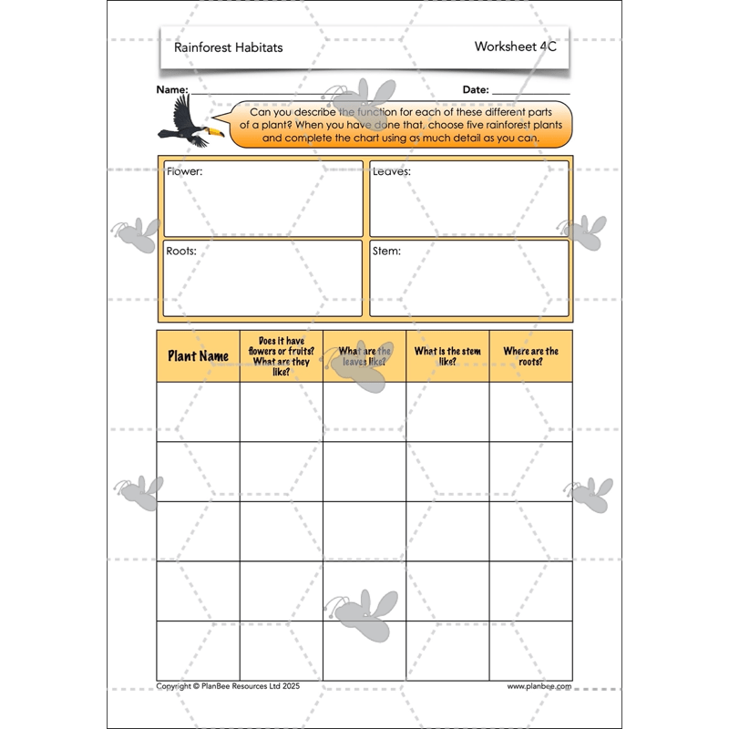 PlanBee Rainforest Habitats KS2 Science Lesson Pack