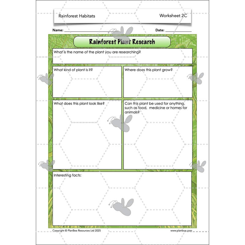 PlanBee Rainforest Habitats KS2 Science Lesson Pack