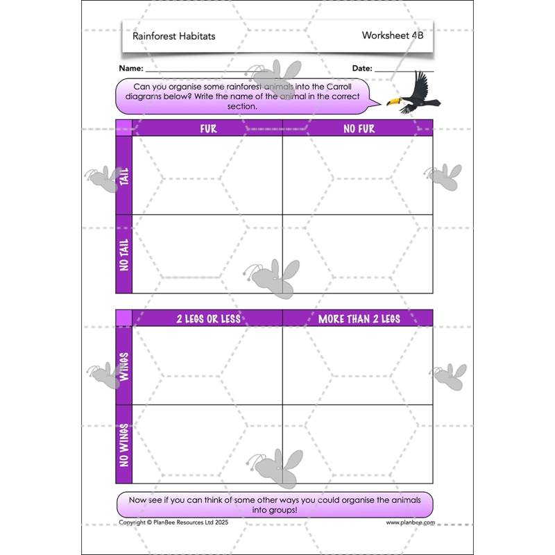PlanBee Rainforest Habitats KS2 Science Lesson Pack