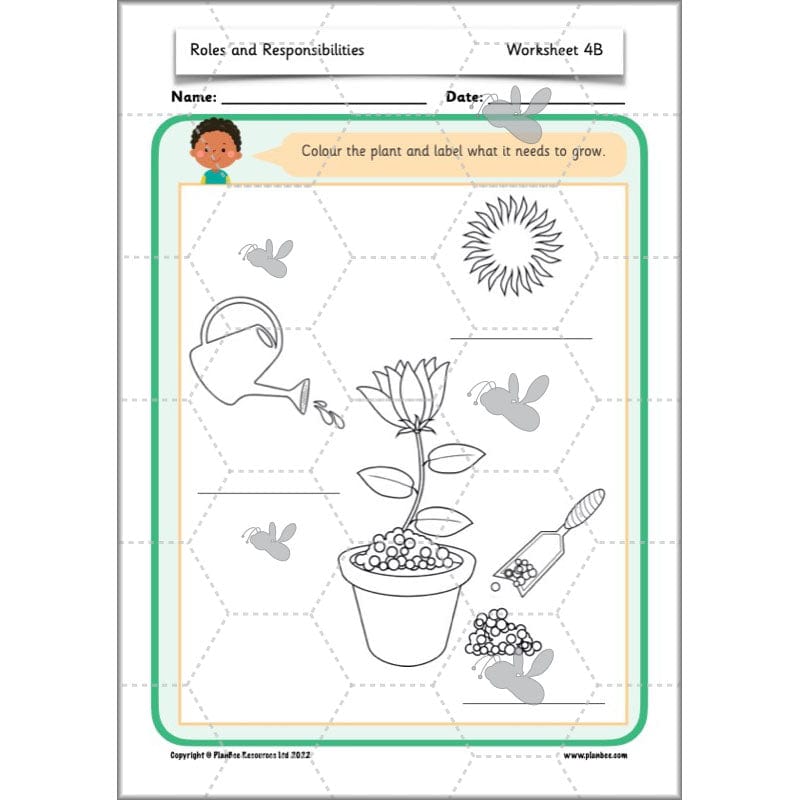 PlanBee Roles and Responsibilities | KS1 PSHE 
