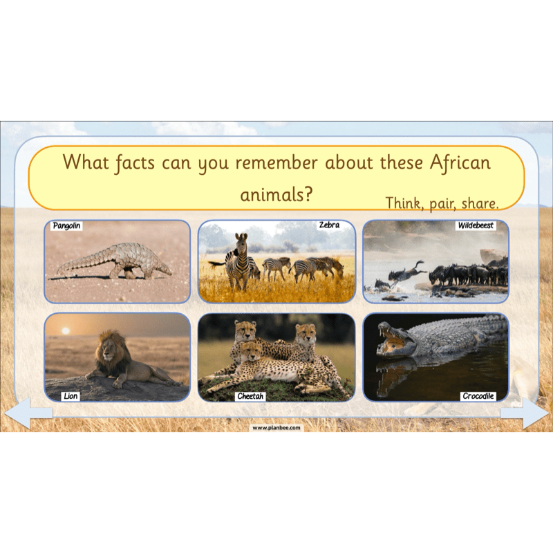 PlanBee Safari Adventures KS1 | English Lesson Pack