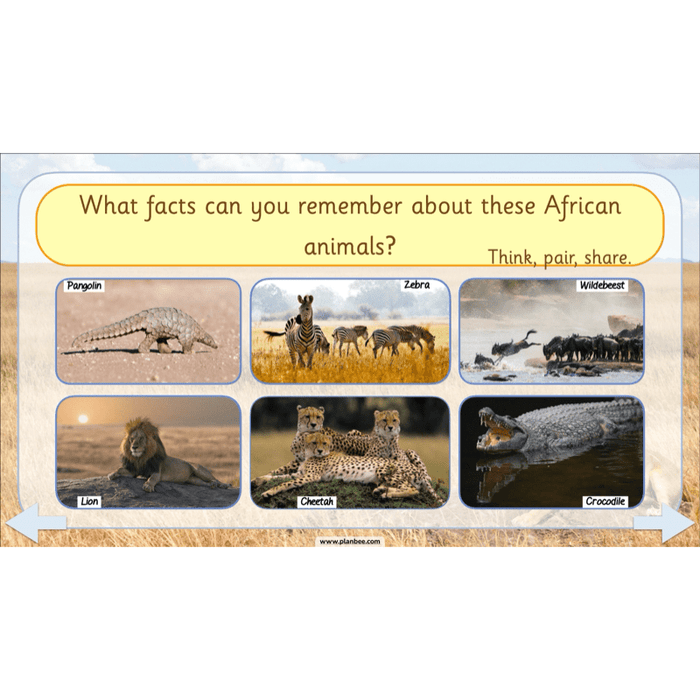 PlanBee Safari Adventures KS1 | English Lesson Pack