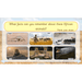 PlanBee Safari Adventures KS1 | English Lesson Pack