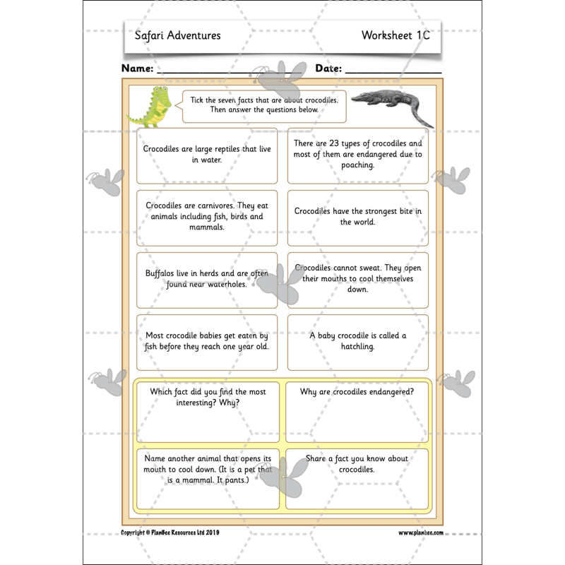 PlanBee Safari Adventures KS1 | English Lesson Pack