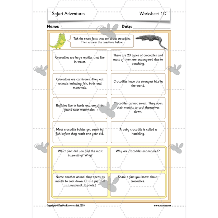 PlanBee Safari Adventures KS1 | English Lesson Pack
