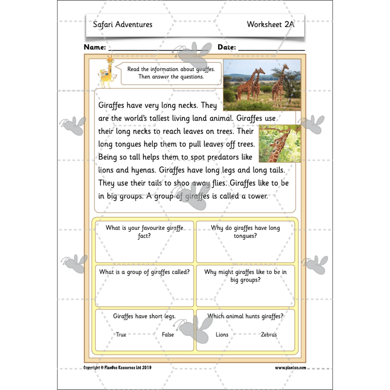 PlanBee Safari Adventures KS1 | English Lesson Pack