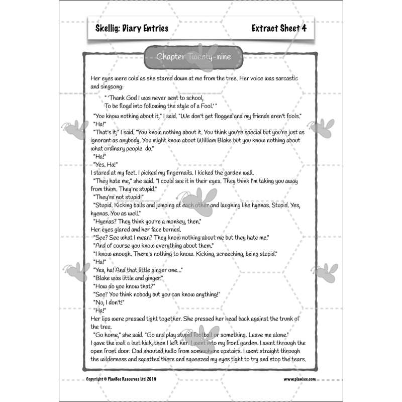 PlanBee Skellig Diary Entries KS2 | Year 6 English Lesson Pack