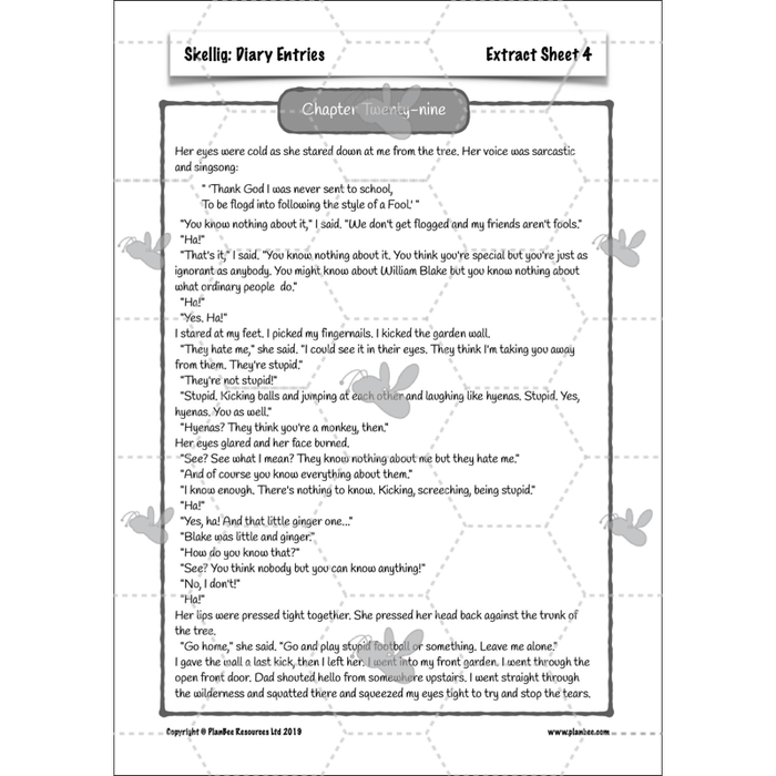 PlanBee Skellig Diary Entries KS2 | Year 6 English Lesson Pack