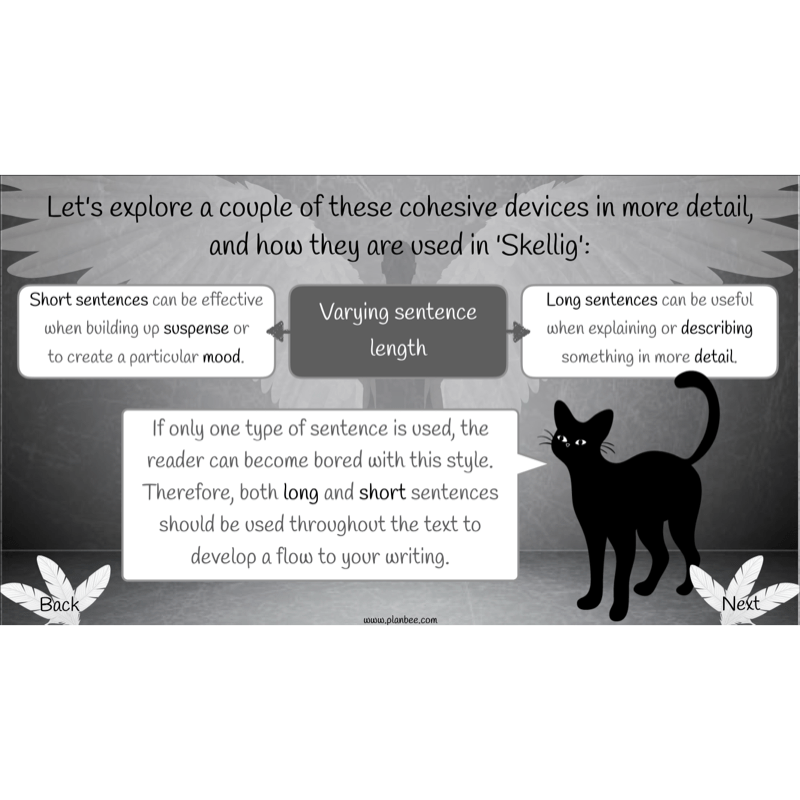 PlanBee Skellig: Narrative