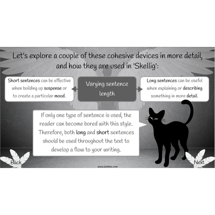 PlanBee Skellig: Narrative