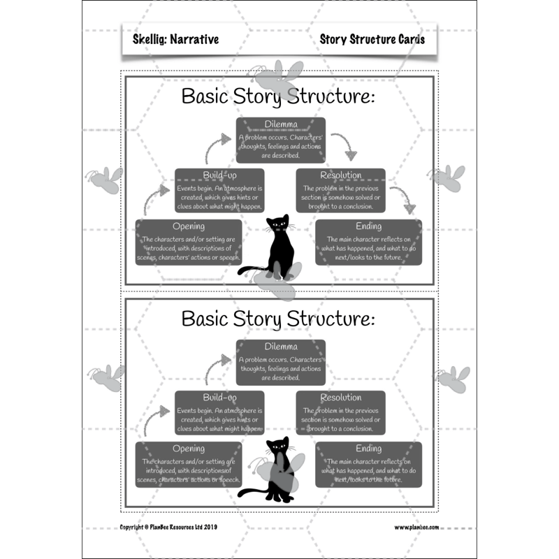PlanBee Skellig: Narrative