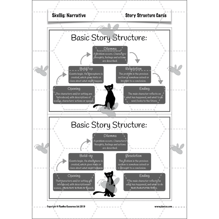 PlanBee Skellig: Narrative