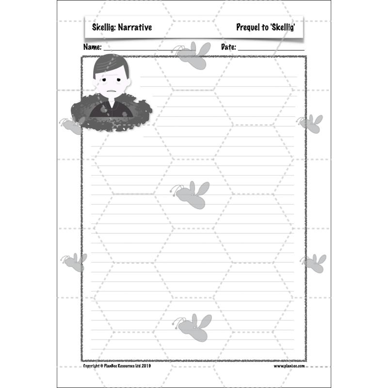 PlanBee Skellig: Narrative