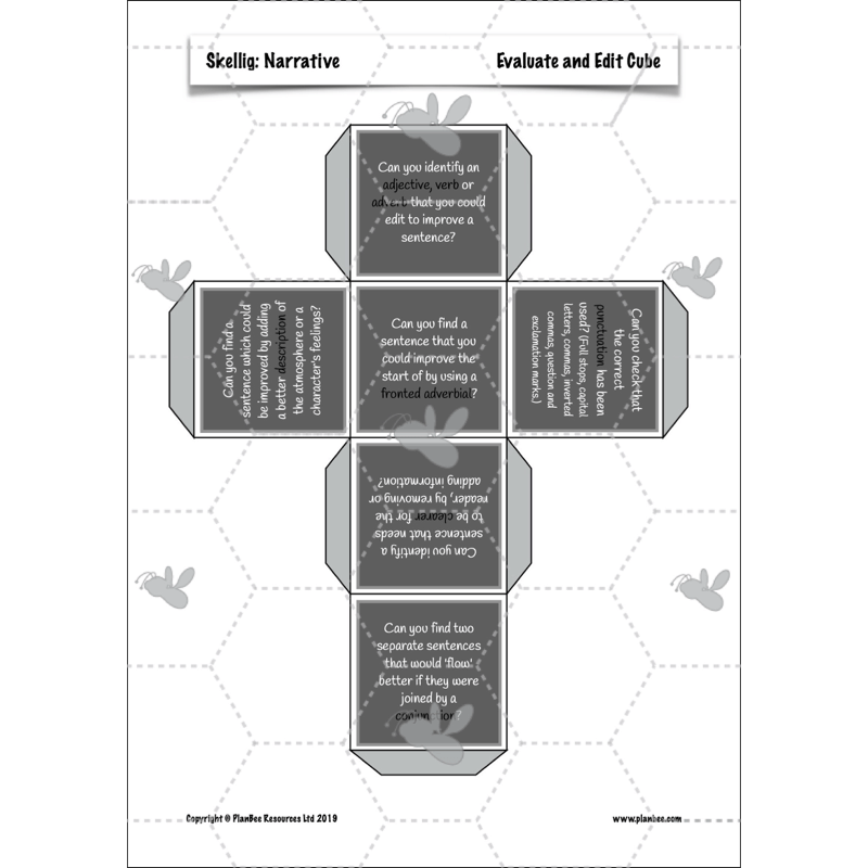 PlanBee Skellig: Narrative