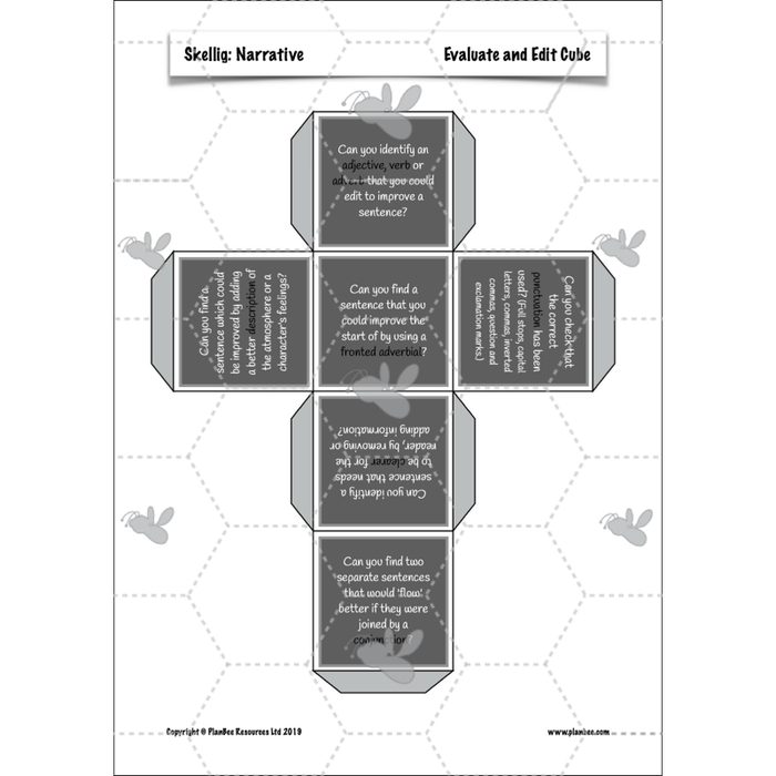 PlanBee Skellig: Narrative