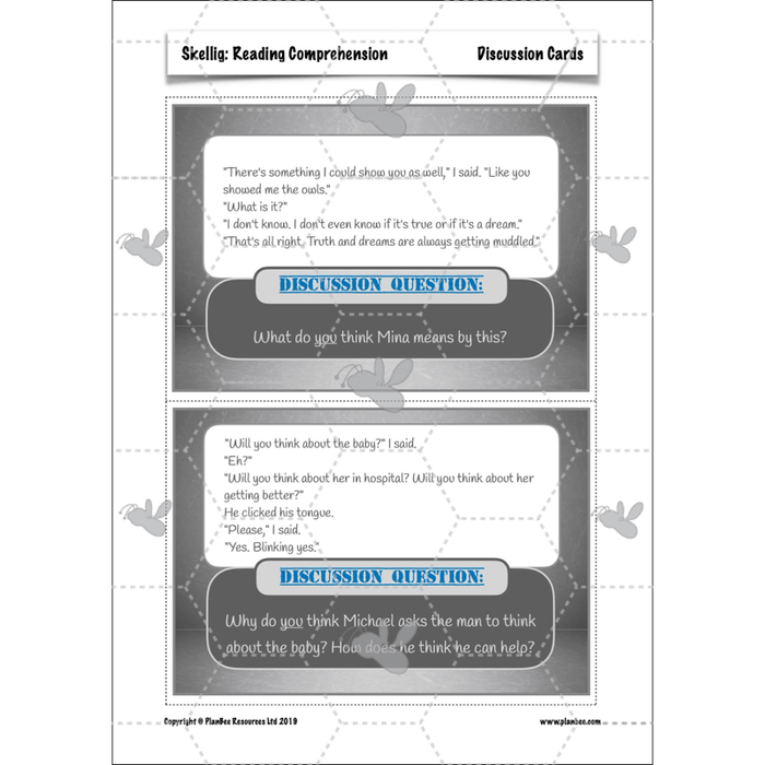PlanBee Skellig: Reading Comprehension
