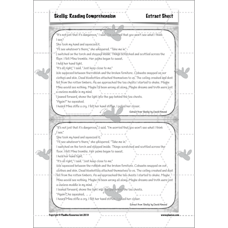 Skellig: Reading Comprehension