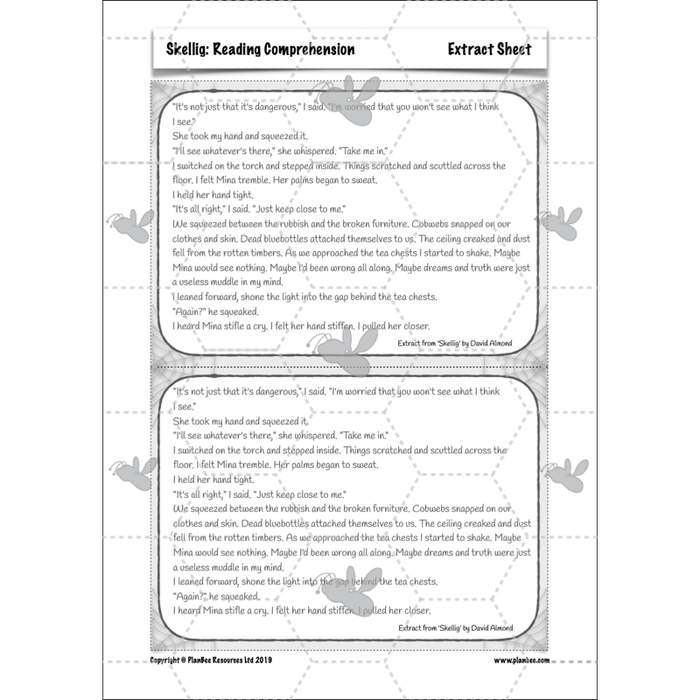 Skellig: Reading Comprehension