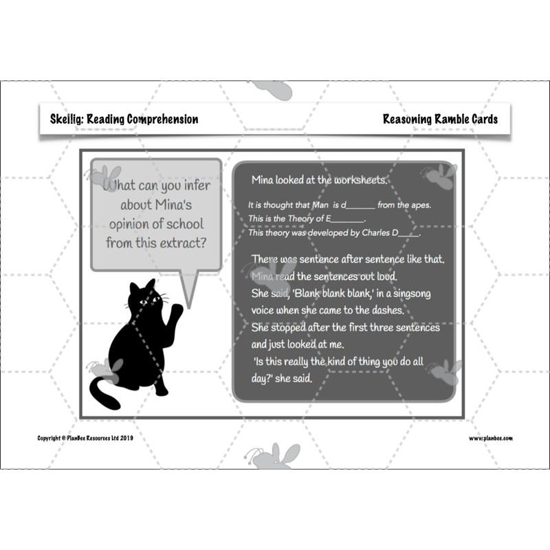 Skellig: Reading Comprehension