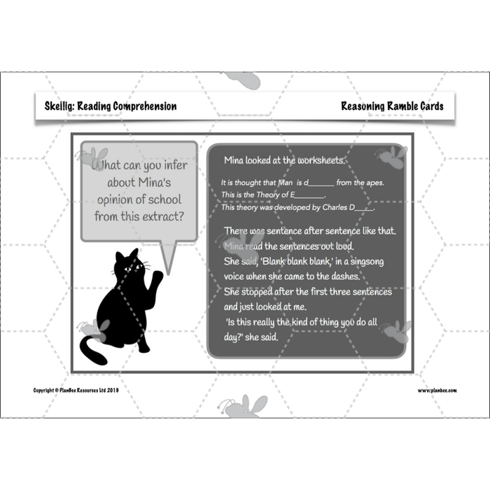 Skellig: Reading Comprehension