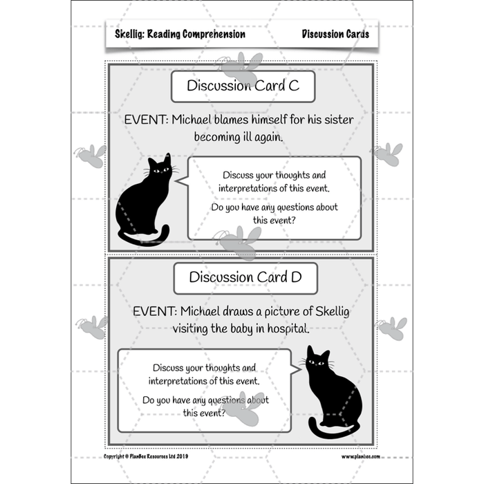 Skellig: Reading Comprehension