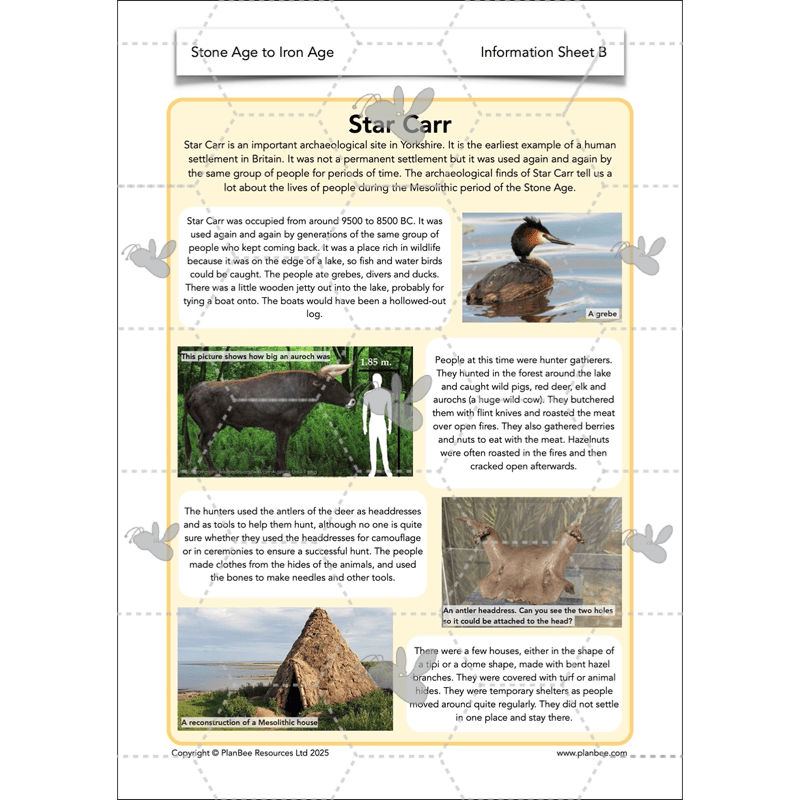 PlanBee Stone Age to Iron Age Year 3 and 4 | History Lessons KS2
