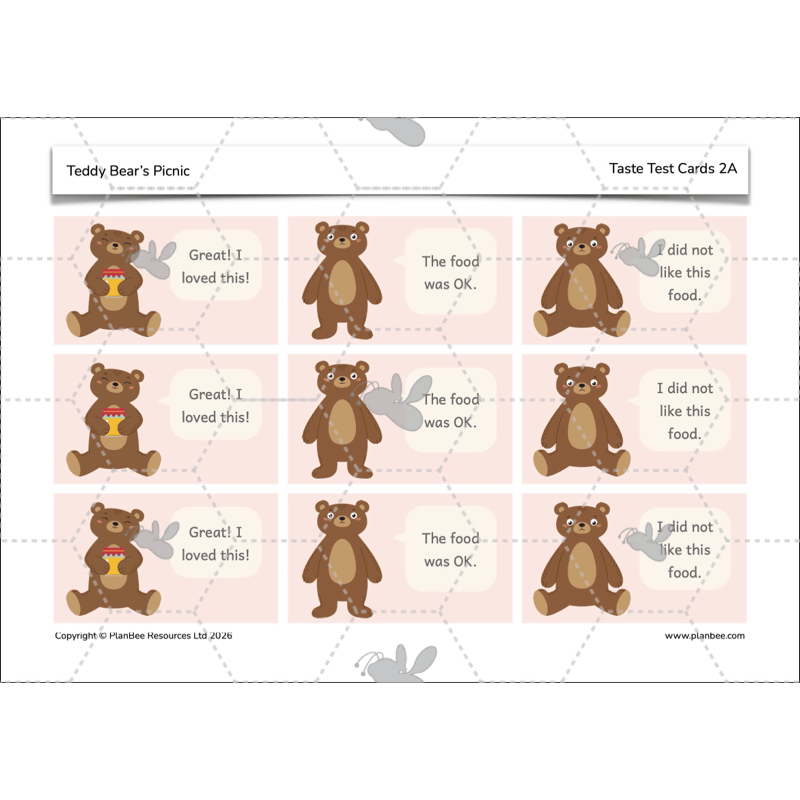 PlanBee Teddy Bears Picnic Ideas and DT Lessons by PlanBee