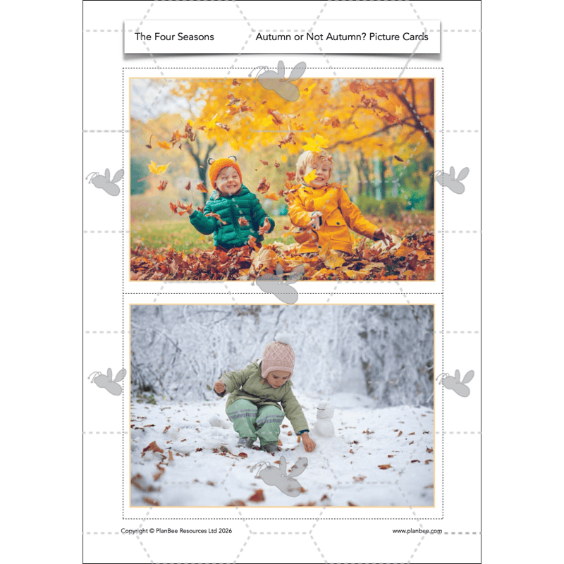 PlanBee The Four Seasons KS1 Geography Lesson Pack