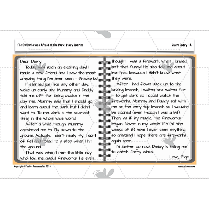 PlanBee FREE | The Owl who was Afraid of the Dark | Diaries KS2