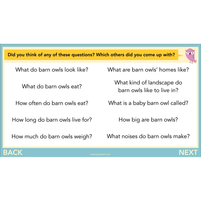 PlanBee The Owl who was Afraid of the Dark | KS2 Non-chronological Reports