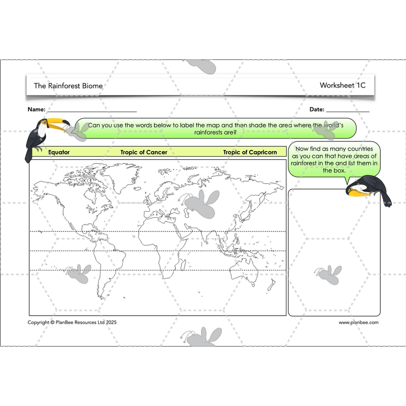 PlanBee The Rainforest Biome KS2 | Geography Lesson Pack