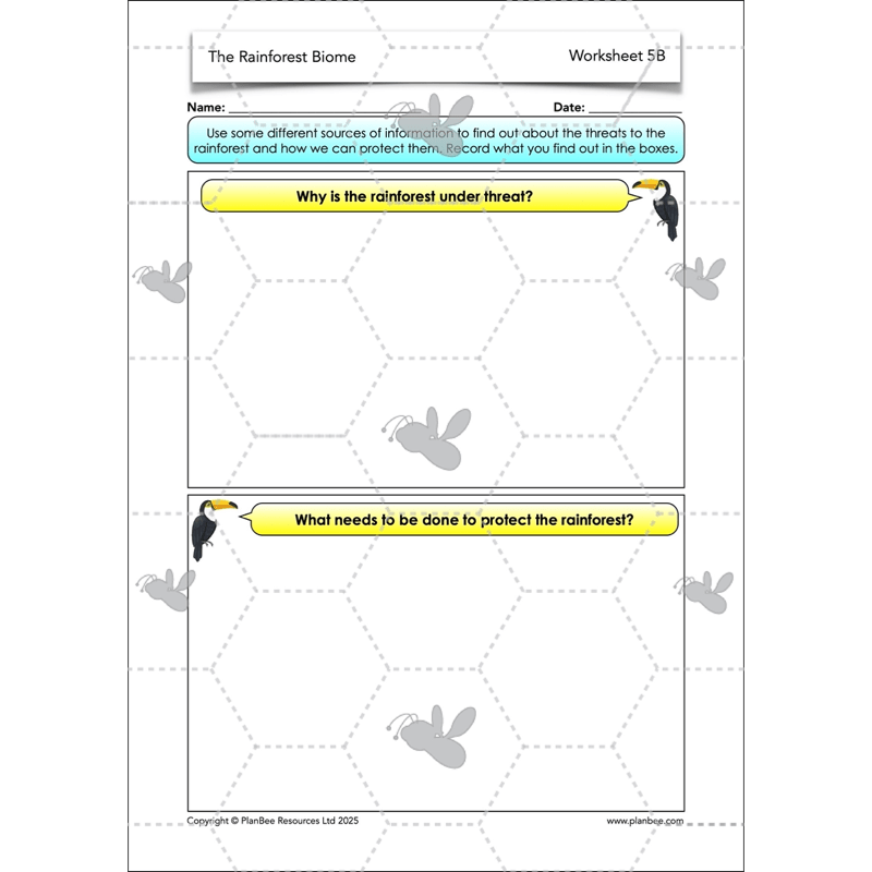 The Rainforest Biome