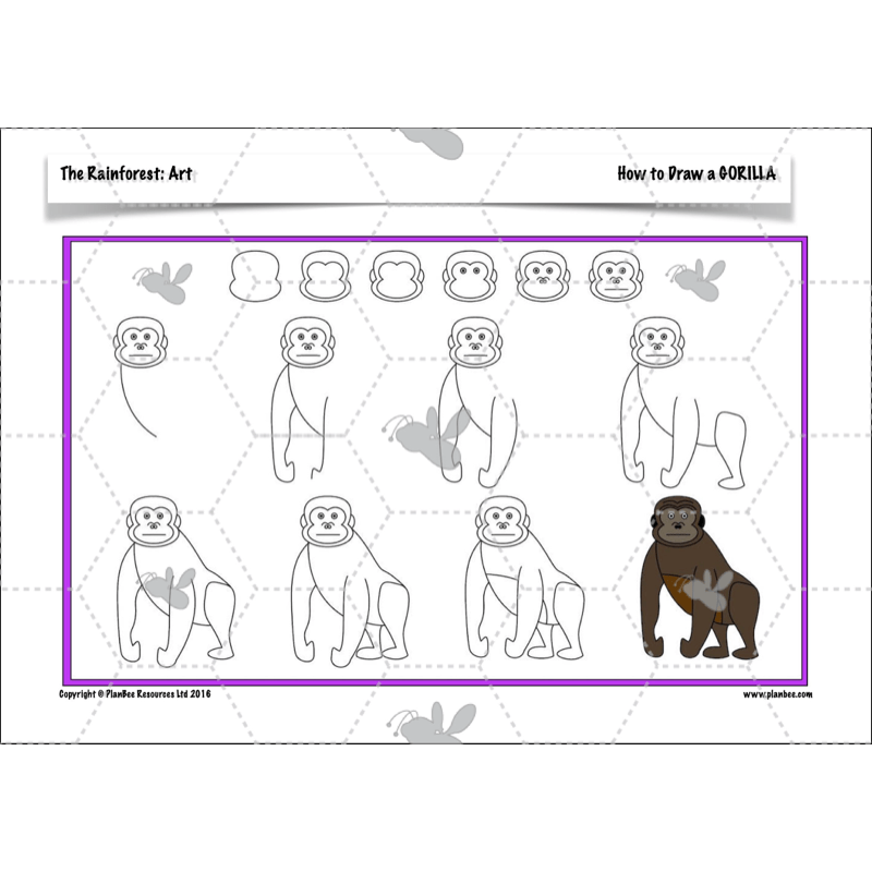 PlanBee The Rainforest Topic KS2 Enrichment Lesson Pack