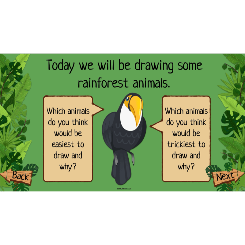 PlanBee The Rainforest Topic KS2 Enrichment Lesson Pack