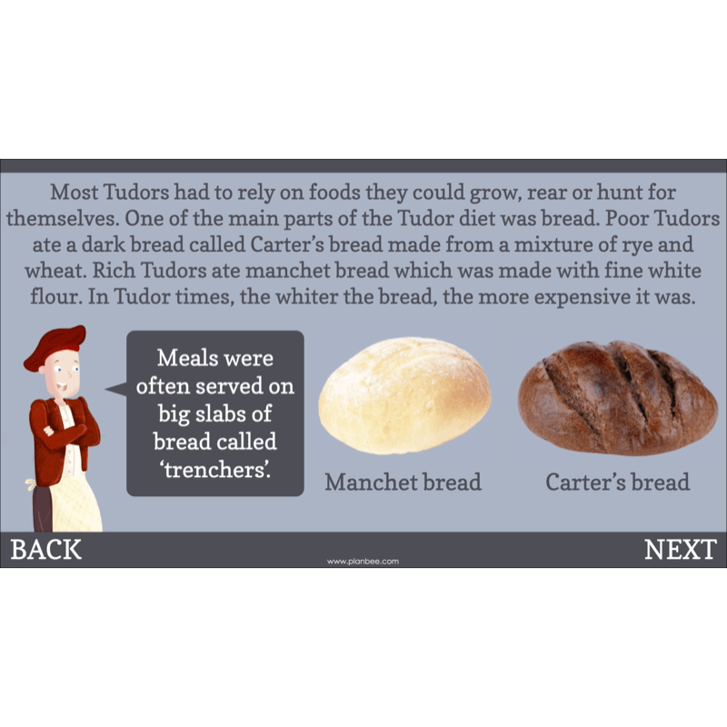 PlanBee The Tudors KS2 History Lessons and Resources