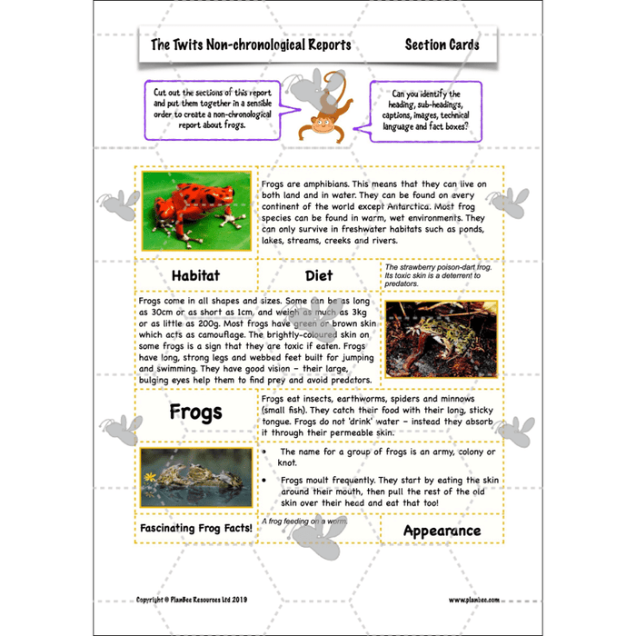 PlanBee The Twits: Non-chronological Reports KS2 | Y4 English Pack