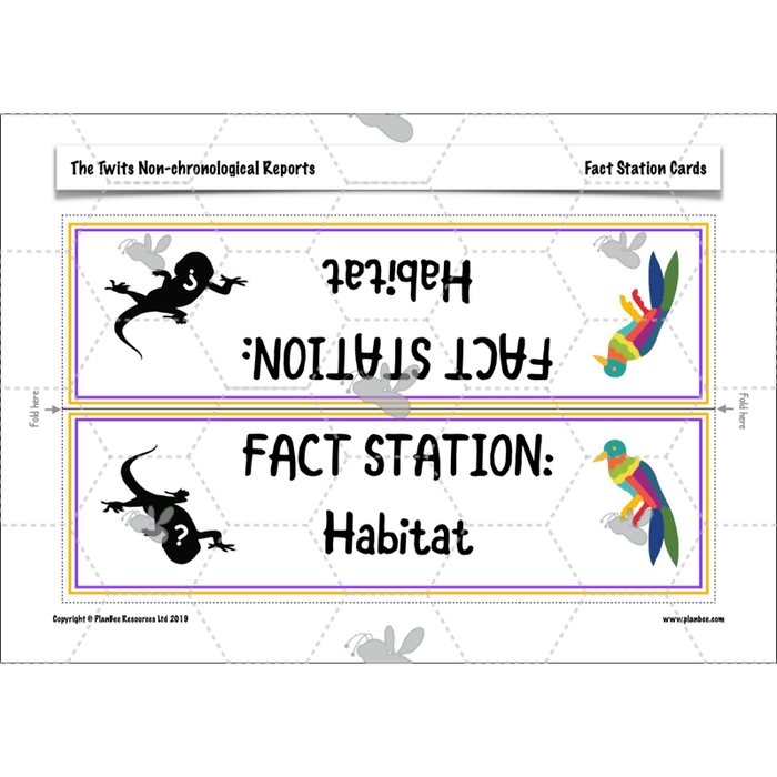 PlanBee The Twits: Non-chronological Reports KS2 | Y4 English Pack