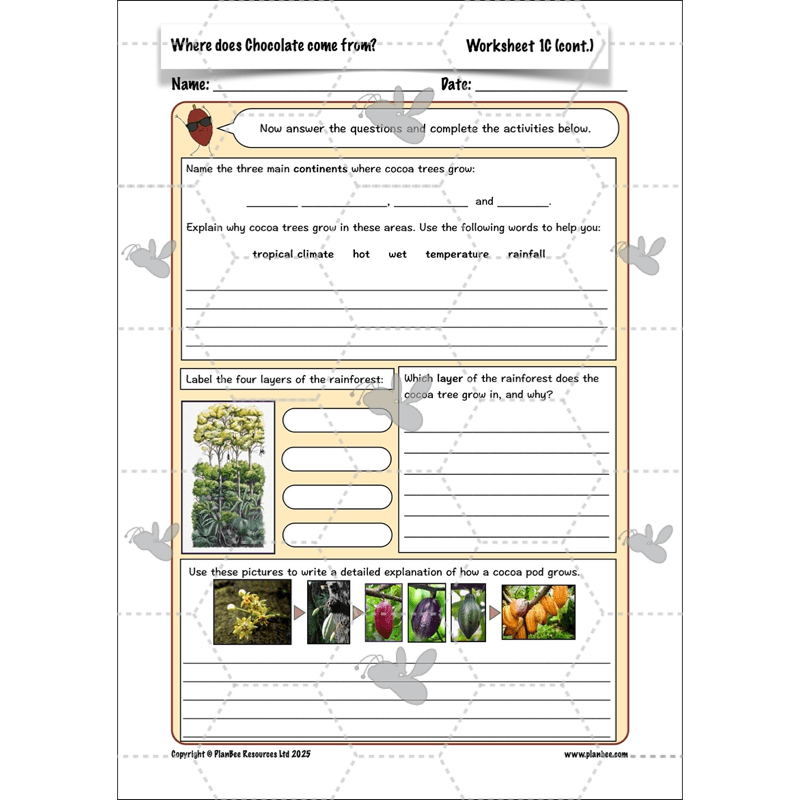 PlanBee Where does Chocolate come from? | KS2 Geography lessons