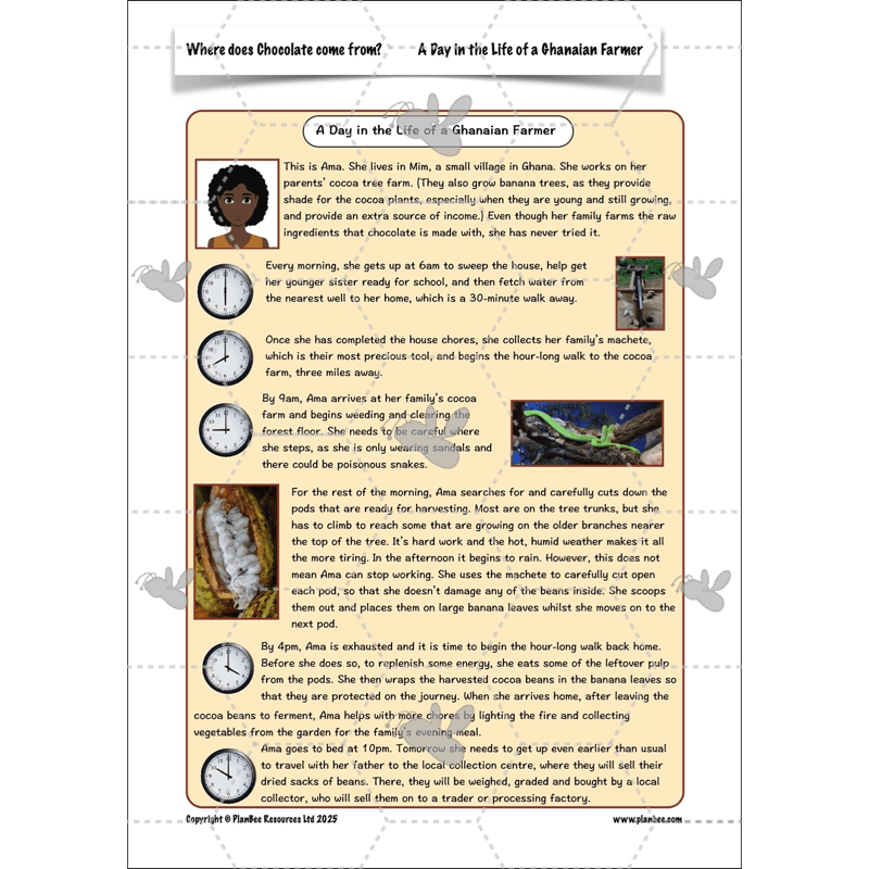 PlanBee Where does Chocolate come from? | KS2 Geography lessons