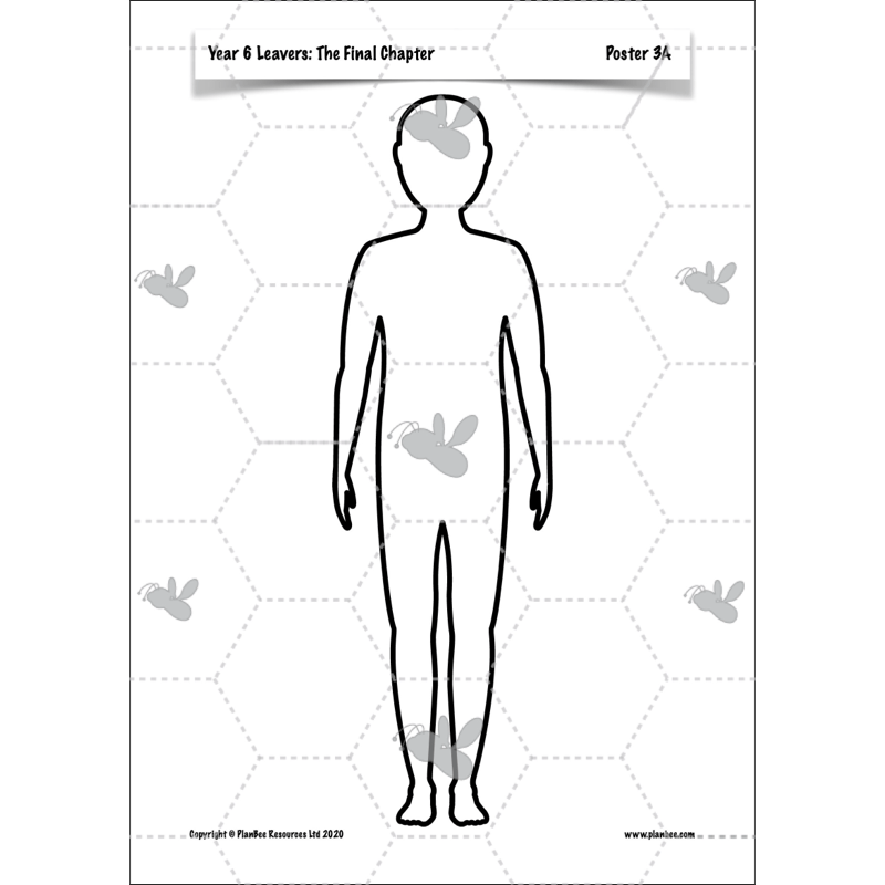 PlanBee Year 6 Leavers: The Final Chapter | KS2 English Pack