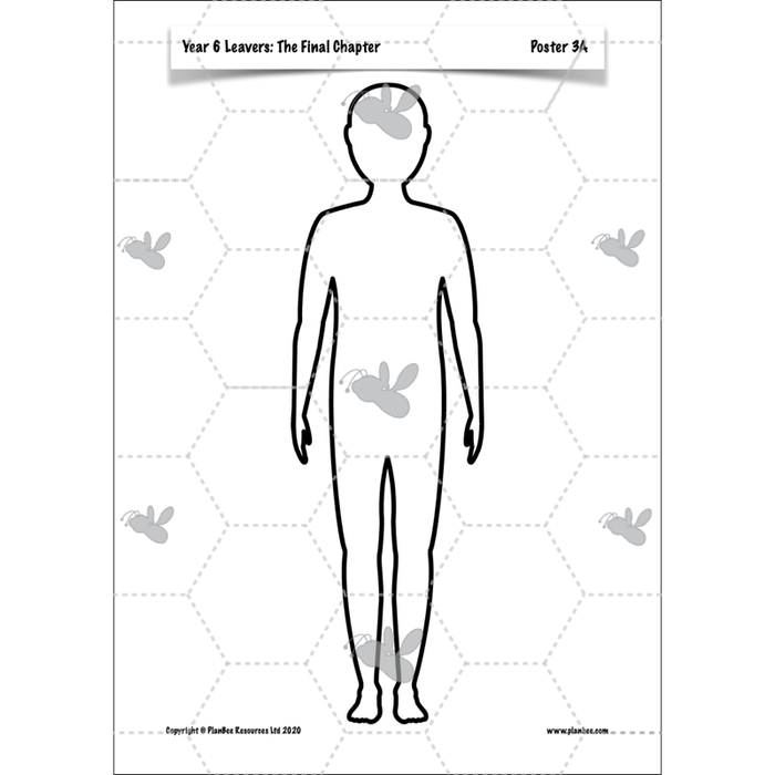 PlanBee Year 6 Leavers: The Final Chapter | KS2 English Pack
