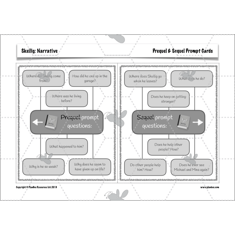 PlanBee Skellig: Narrative