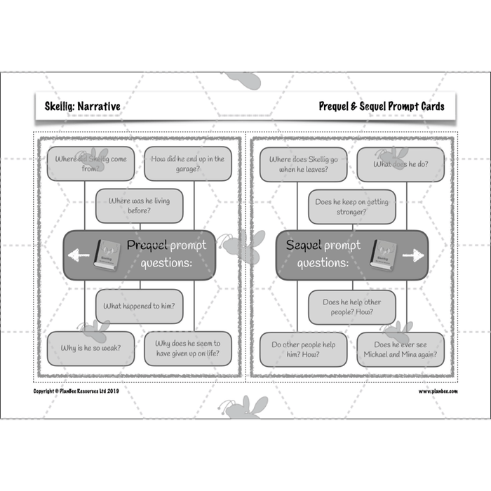 PlanBee Skellig: Narrative
