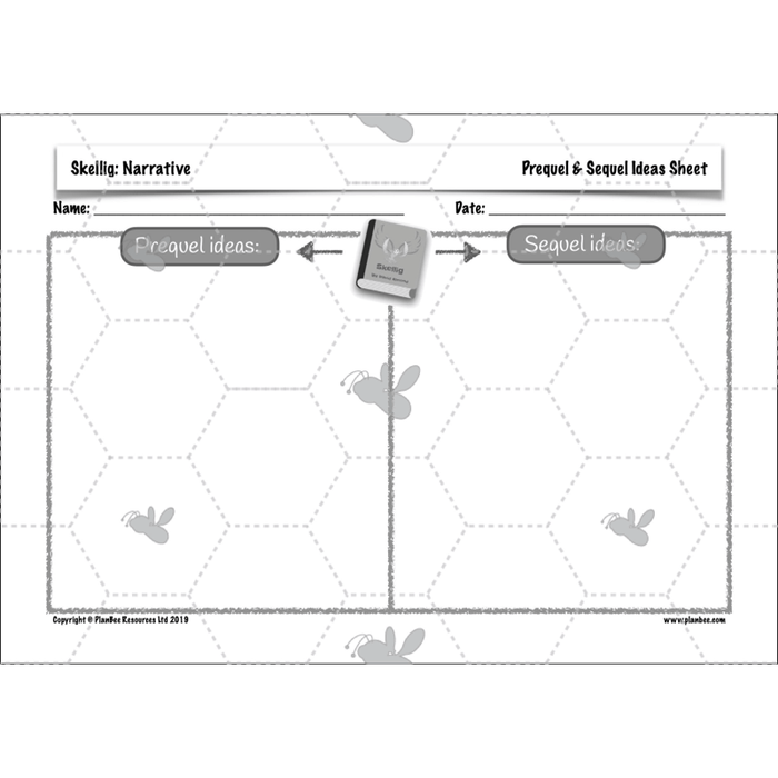 PlanBee Skellig: Narrative