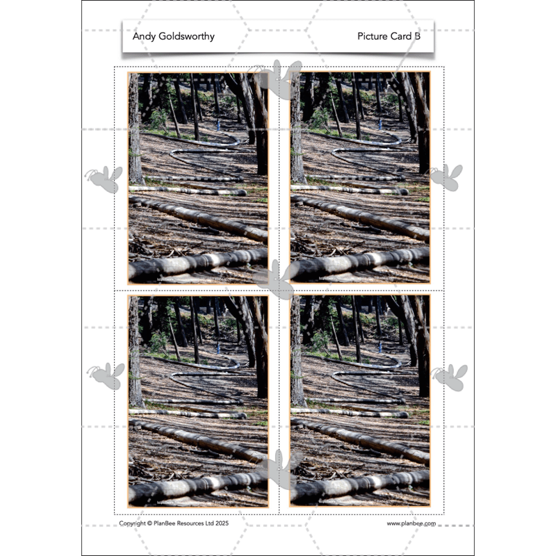 PlanBee Andy Goldsworthy KS1 Art Lesson Plans created by PlanBee