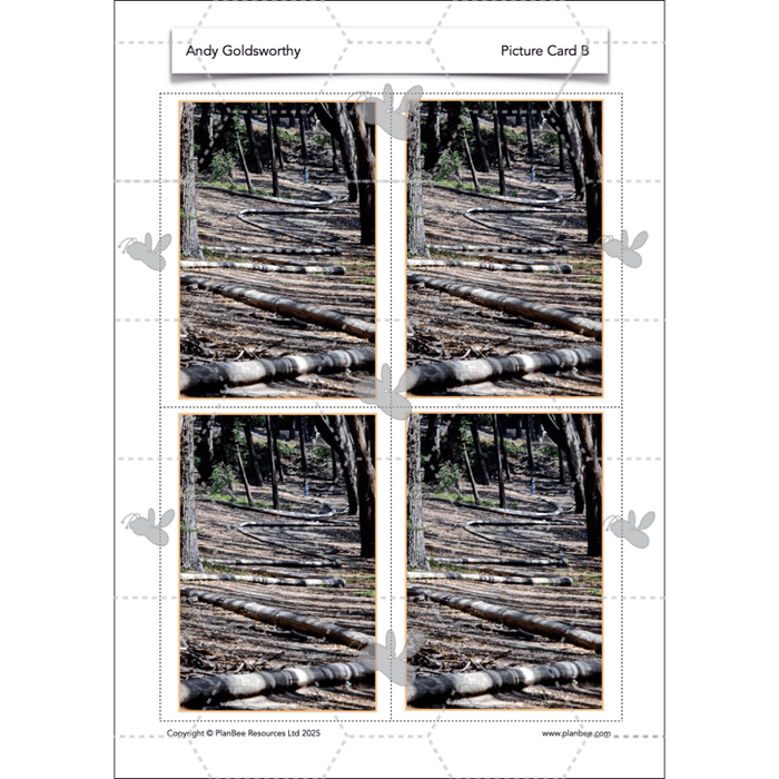 PlanBee Andy Goldsworthy KS1 Art Lesson Plans created by PlanBee