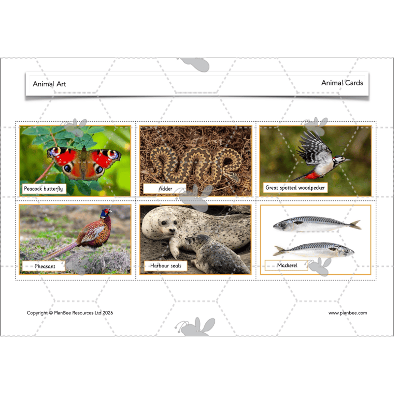 PlanBee Animal Art KS1 | Art Lesson Pack